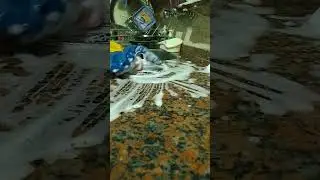 على راي ستي ولا ولد ولا بنت هيشيل الكفن