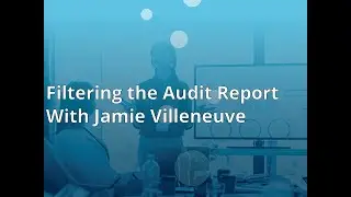 Using Filters in the P0044 Audit Report