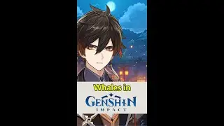 Who are the whales top up in Genshin?How do they feel about whaling? #genshinimpact  #talesofgrimm