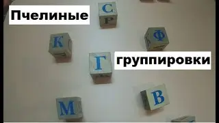Пчелиные группировки - основа  пчеловодства.