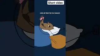 cat alarm clock #cat#alarmclock#sleep#bed#yells#music#sings#jokes#shorts#video#animals#meme#memes