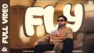 New Punjabi Songs 2024 | FLY (Official Video) | Arjan Dhillon | Latest Punjabi Songs 2024