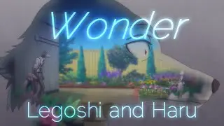 Wonder - Legoshi and Haru