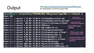 OMA standalone: how to efficiently identify orthologs using a cluster