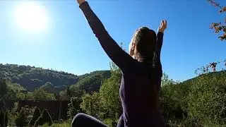Full Body Flow | 20 Min. Yoga Practice