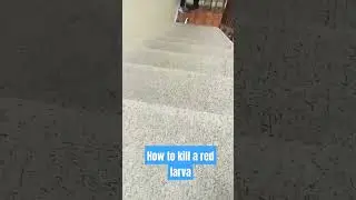 How to kill a red larva! (100% REAL AND EASY) #larva #memes