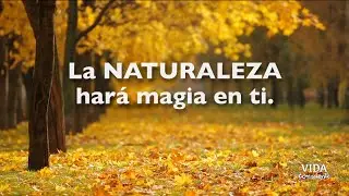 🍀Cómo conectar con la naturaleza. Claves para estar en PAZ.