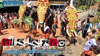 മീനപ്പൂരം 3 പുതുച്ചിറക്കാവ് ദേവി ക്ഷേത്രം പുറപ്പുഴ | Thodupuzha Puthuchirakav Devi Temple Parappuzha