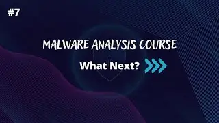 What Next ? - Malware Analysis Semi-Course