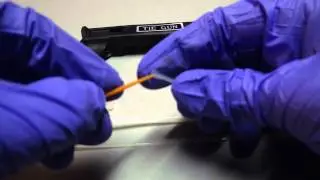 Step 3   Dialysis Tubing