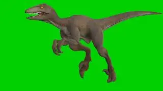 Dinosaur green screen template