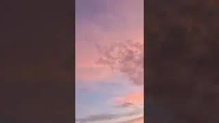 красота