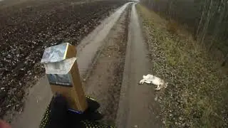 Охота на зайца и лисицу по чернотропу!!!