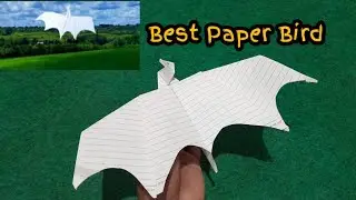 Best Paper Bird || Notebook Plane