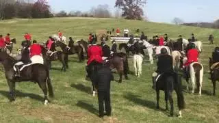 Blessing of the Hounds 2021