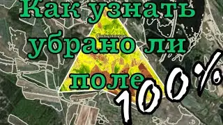 Как найти место для копа. Когда убирают поля, OneSoil