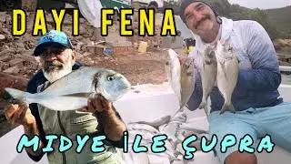 Antalyali dayı ile cupra avı