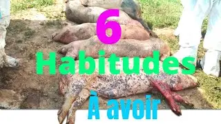 ce qu'il faut savoir pour créer votre entreprise d'élevage