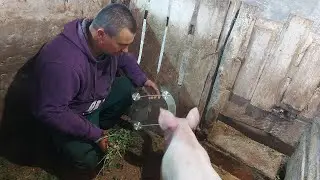 С трудом поднял. Такой вес не ожидал.
