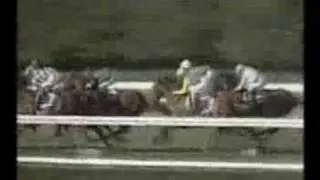 Royal Academy- 1990 Breeders Cup Mile