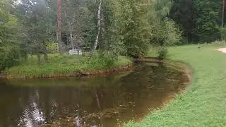 Гений  Пушкин/Михайловское