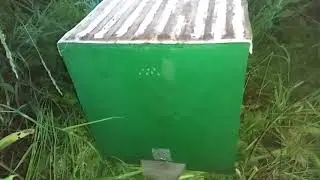 Попался рой из категории тяжей ( отчёт по пойманным роям )