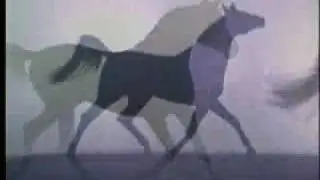 Beauty Of Horses