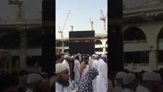 Машаллах енесини ажыда аркалап жүрөт