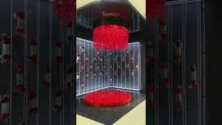 Syomka jarayonidan | Samo media | Oybek Videograf | #uzbwedding #rek #svadbauz #svadba #baki