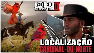 Cardinal Do Norte | Localização - Red dead redemption 2