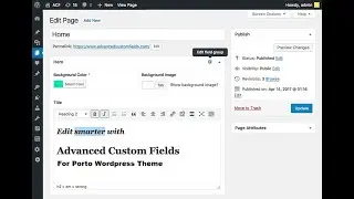 How to create and use Custom Fields with ACF in Porto WordPress