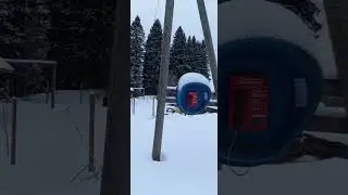 Вековые ели .