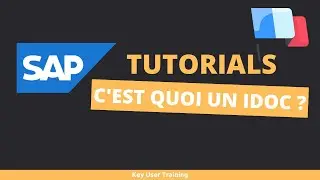 SAP IDoc -  C'est quoi un IDoc ?