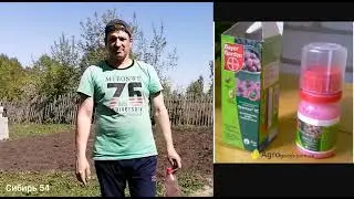 #deaf #глухие 2часть Бочка и вода полный. май картошка сажить.