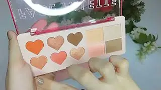Pink Flash Face Palette | Pink Flash Face Palette Review | Pink Flash Makeup