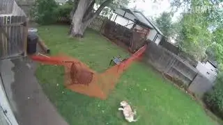 shot on iphone meme #short #shotoniphonememe #shotoniphone #meme#shotoniphonememes #funnyvideos