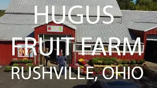 Adventures: Hugus Fruit Farm