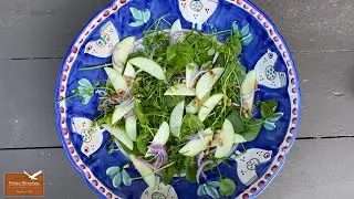 Wildcrafting: Forest Feast with Miner’s Lettuce and Chickweed