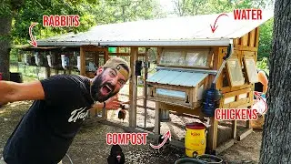 Couple turns DIY chicken coop into a PERMACULTURE MASTERPIECE!