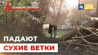 Падающие ветки и открытые люки. ГОРЯЧАЯ ЛИНИЯ