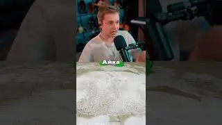 Стинт Про Школьников 