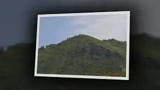 Рубцовск -  Красный Партизан . Июнь 2022 г