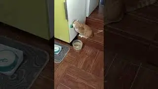 За мятой в очередь.