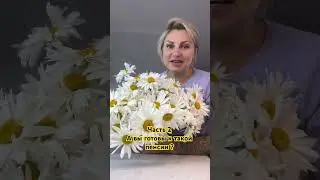 Ужасы пенсии. Готовы?