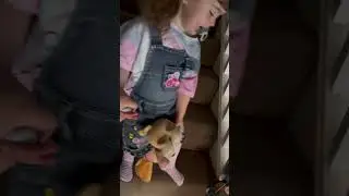 Kira birthday morning.5/5/21