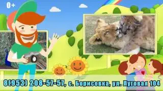 Рекламный ролик зоопарка 