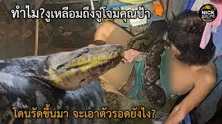 ลุยดิบ EP.130 ทำไม? งูเหลือมถึงจู่โจมป้า โดนรัดขึ้นมาจะเอาตัวรอดยังไง?