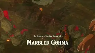 Marbled Gohma Boss Fight: Zelda Tears of The Kingdom