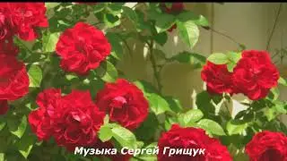 СБОРНИК -КРАСИВЫХ МЕЛОДИЙ! Мелодии  погружают в атмосферу прекрасного и загадочного #КРАСИВАЯМУЗЫКА
