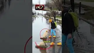 МАЛЕНЬКИЕ ДЕВОЧКИ ПОМОГЛИ СОБАКЕ🥰 